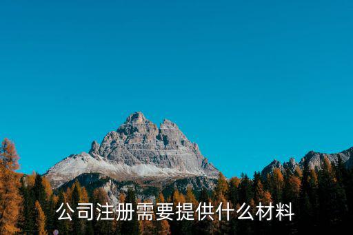 公司注冊需要提供什么材料