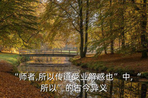 “師者,所以傳道受業(yè)解惑也”中,“所以”的古今異義