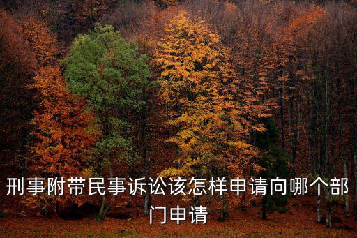 刑事附帶民事訴訟該怎樣申請向哪個部門申請