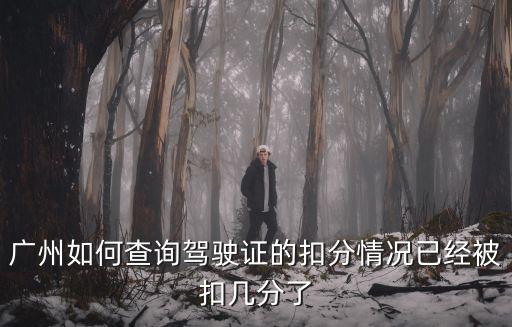 廣州如何查詢駕駛證的扣分情況已經(jīng)被扣幾分了