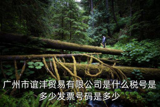 廣州市誼灃貿(mào)易有限公司是什么稅號是多少發(fā)票號碼是多少