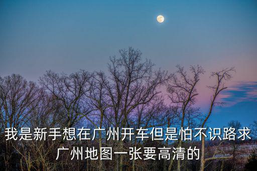 我是新手想在廣州開車但是怕不識路求廣州地圖一張要高清的