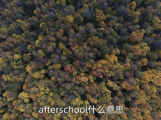  afterschool什么意思
