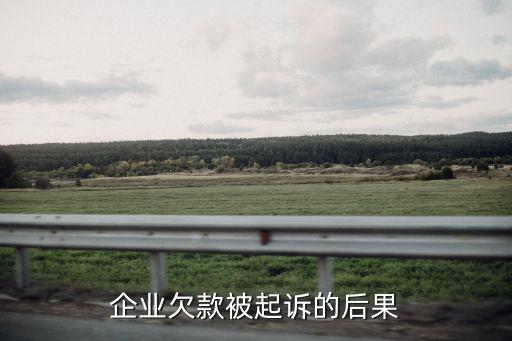 企業欠款被起訴的后果