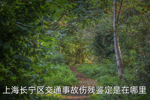 上海長寧綁架，上海長寧區(qū)三大隊交警拿了我的駕駛證不肯歸還沒有出具任何扣押