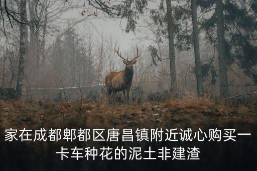 家在成都郫都區(qū)唐昌鎮(zhèn)附近誠心購買一卡車種花的泥土非建渣