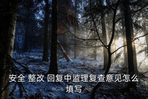 安全 整改 回復中監理復查意見怎么填寫