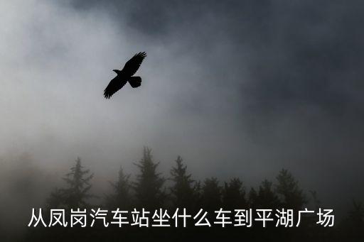 從鳳崗汽車站坐什么車到平湖廣場
