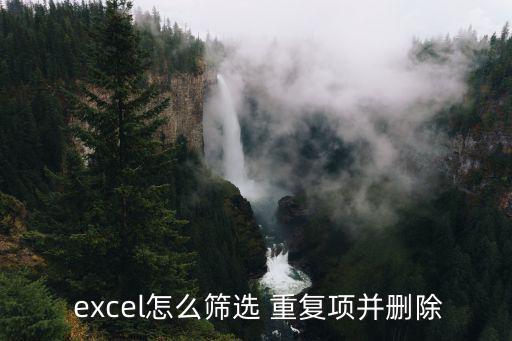  excel怎么篩選 重復項并刪除