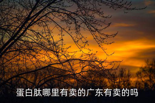 廣州有黃金蛋白肽代理嗎，賣黃金牡蠣蛋白肽是假的犯法嗎