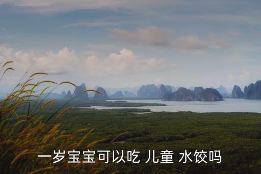 一歲寶寶可以吃 兒童 水餃嗎
