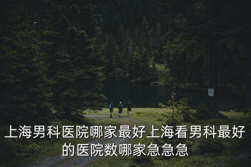 上海男科醫院哪家好，上海男科醫院哪家最好上海看男科最好的醫院數哪家急急急
