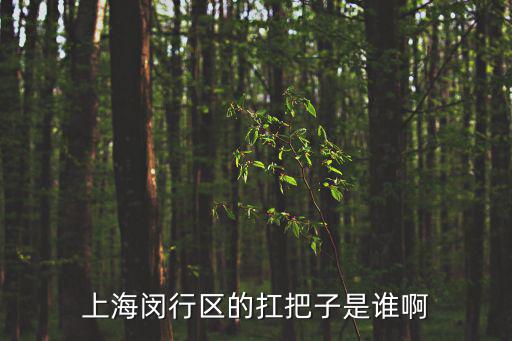 上海閔行區(qū)的扛把子是誰啊