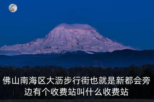 佛山南海區大瀝步行街也就是新都會旁邊有個收費站叫什么收費站
