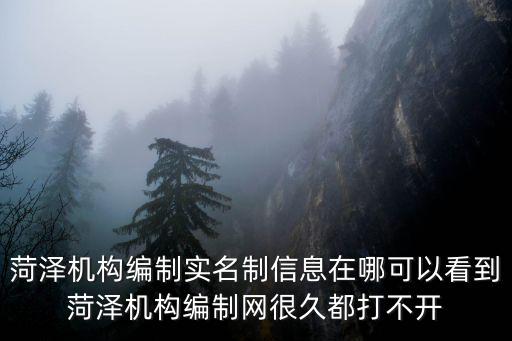 上海機構編制網實名制公示，什么是機構編制實名制