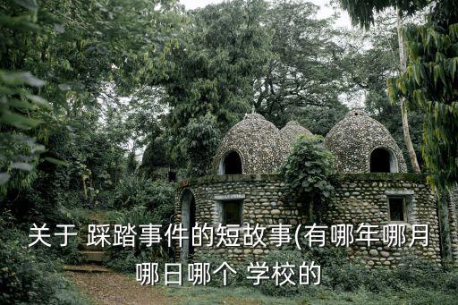 關(guān)于 踩踏事件的短故事(有哪年哪月哪日哪個(gè) 學(xué)校的