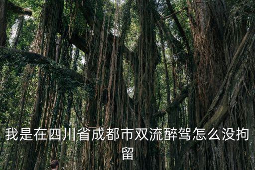 我是在四川省成都市雙流醉駕怎么沒拘留