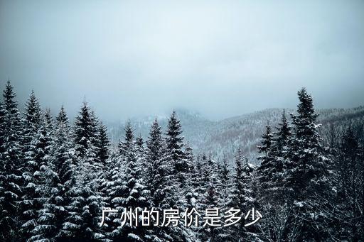 廣州的房價是多少