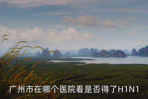廣州市在哪個醫院看是否得了H1N1