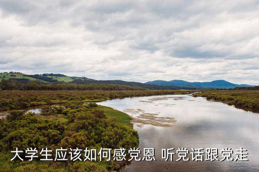 大學生應該如何感黨恩 聽黨話跟黨走