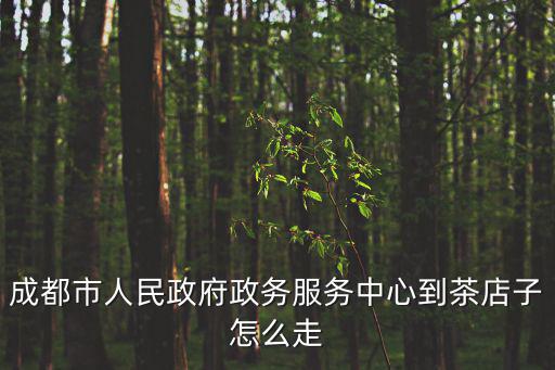 成都市人民政府政務服務中心到茶店子怎么走