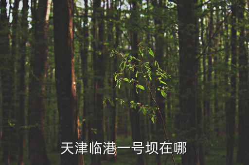 天津臨港一號壩在哪