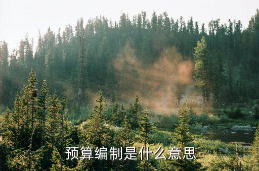  預算編制是什么意思