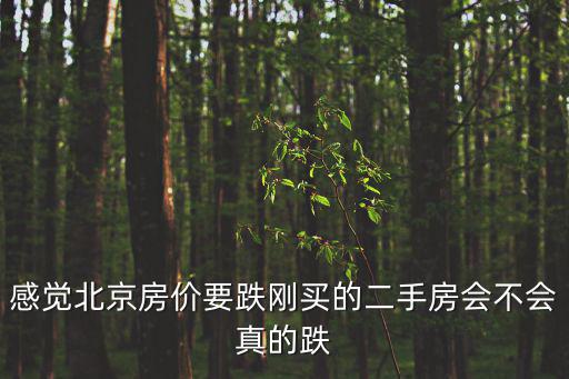 感覺北京房價要跌剛買的二手房會不會真的跌