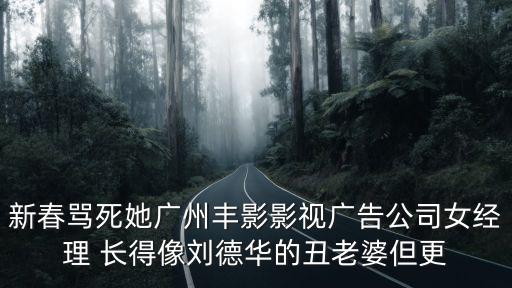 新春罵死她廣州豐影影視廣告公司女經理 長得像劉德華的丑老婆但更