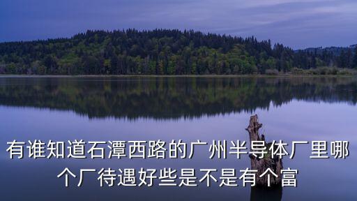 有誰知道石潭西路的廣州半導(dǎo)體廠里哪個廠待遇好些是不是有個富