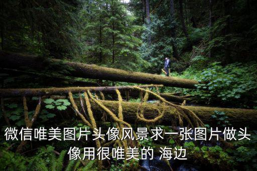 風(fēng)景圖片 大海，有什么好看的大海圖片
