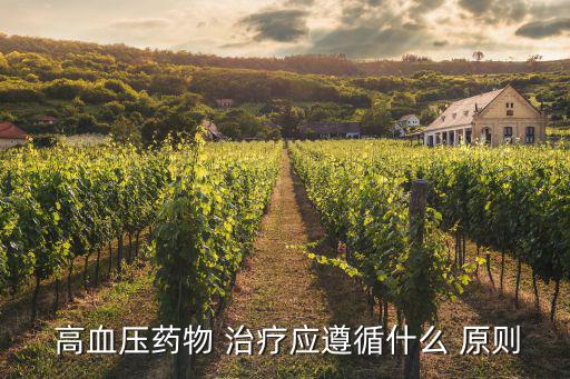  高血壓藥物 治療應遵循什么 原則