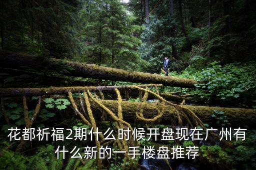 花都祈福2期什么時候開盤現在廣州有什么新的一手樓盤推薦