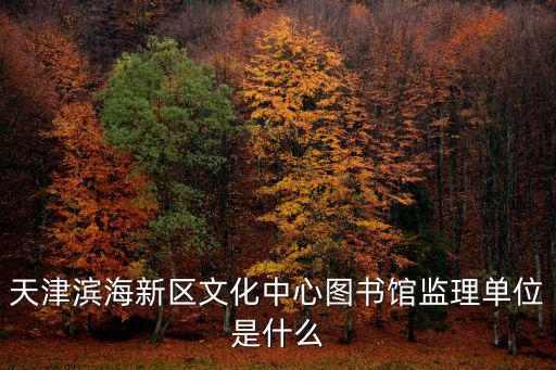 天津濱海新區文化中心圖書館監理單位是什么
