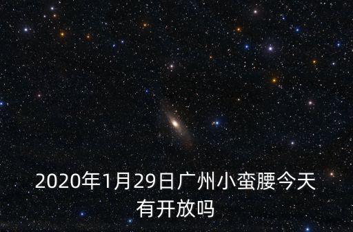 2020年1月29日廣州小蠻腰今天有開放嗎