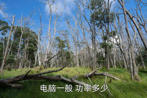  電腦一般 功率多少