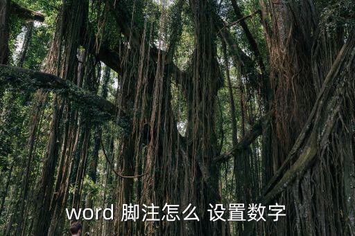 word 腳注怎么 設置數字