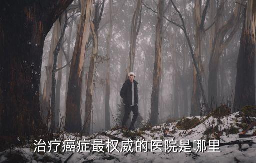 治療癌癥最權(quán)威的醫(yī)院是哪里