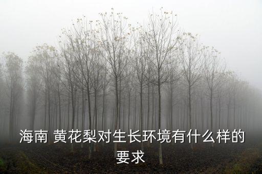  海南 黃花梨對生長環境有什么樣的要求