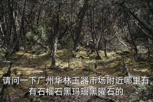 請(qǐng)問一下廣州華林玉器市場(chǎng)附近哪里有有石榴石黑瑪瑙黑曜石的