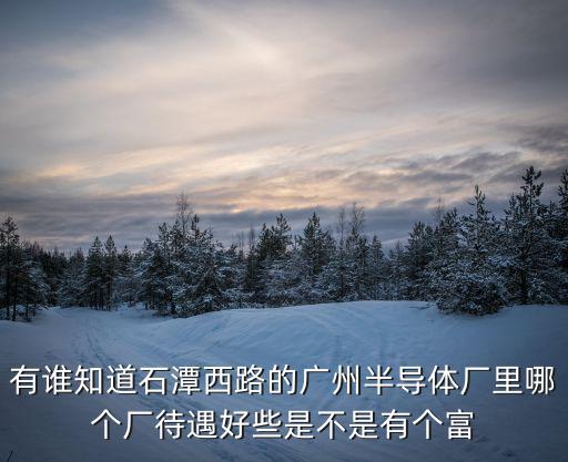 廣州興科半導體公司怎么樣，有誰知道石潭西路的廣州半導體廠里哪個廠待遇好些是不是有個富