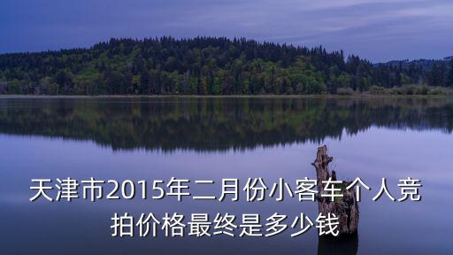 天津市2015年二月份小客車個(gè)人競(jìng)拍價(jià)格最終是多少錢