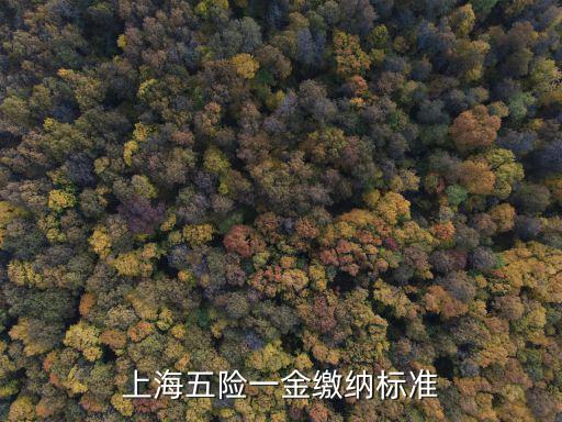 上海五險一金繳納標準