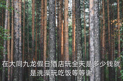 綏陽廣州九龍酒店三樓，在大同九龍假日酒店玩全天是多少錢就是洗澡玩吃飯等等謝