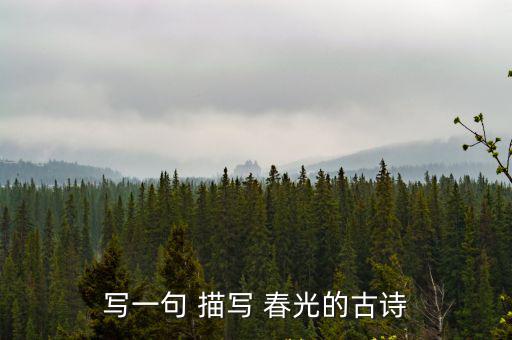 寫一句 描寫 春光的古詩
