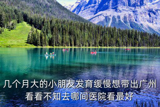 幾個(gè)月大的小朋友發(fā)育緩慢想帶出廣州看看不知去哪間醫(yī)院看最好