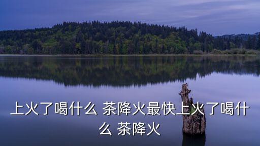 喝什么茶降火,春天可喝什么?