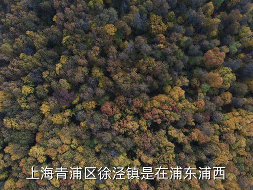 上海青浦區(qū)徐涇鎮(zhèn)是在浦東浦西