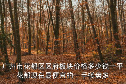 廣州市花都區區府板塊價格多少錢一平花都現在最便宜的一手樓盤多