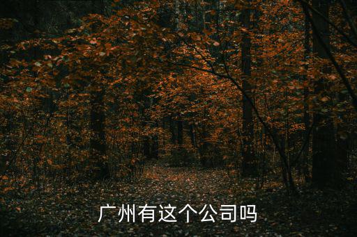 廣州有這個公司嗎